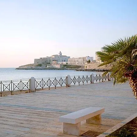 Oda ve Kahvaltı Casa Pinta Vieste